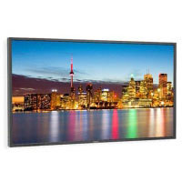 Nec P402 (60003253)